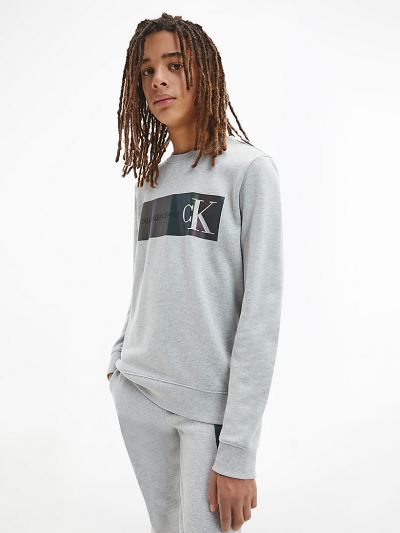 Calvin Klein Ruhák HU556289 | Calvin Klein Organic Cotton Logo Fiu Pulóver Világos Szürke